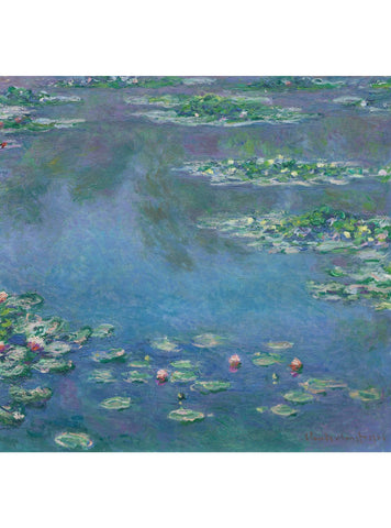 Wasserlilien